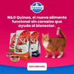 Farmina ND Cat Quinoa Grain free Skin Coat Caille croquettes pour chats