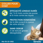 Bayer-Serestro Collier Antiparasitaire Chat (1)