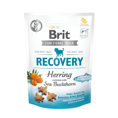Brit care dog functional snack recovery arenques