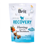 Brit care dog functional snack recovery arenques