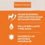 Nature's Variety pienso Original No Grain Mini Salmón