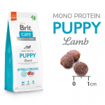 Brit care puppy all breed cordero arroz pienso para perros