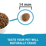 Acana-Croquettes pour Chien Adulte (1)