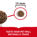 Acana-Classic Red pour Chien (1)