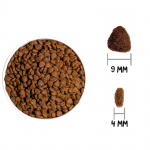 Ownat Classic-Feline Kitten (1)