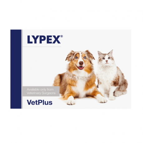 vetplus-Lypex pour Chien et Chat (1)