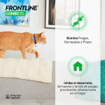 Frontline-Spot Combo Chat (2)