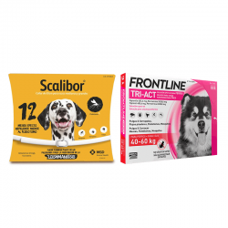 Pack Super Protection : Collier Scalibor 65 cm + Frontline Tri-Act 3 pipettes (40-60 kg) chiens taille géant