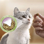 Pack Dentalife de snacks dentales para gatos de pollo