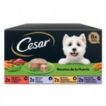 Cesar Multipack Recetas De la Huerta Comida Húmeda Para Perros en Paté y Gelatina