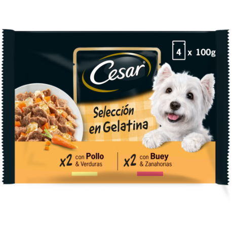 Cesar Multipack Selección en Gelatina Comida Húmeda Para Perros con Pollo y Buey