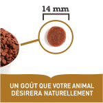 Acana-wild prairie au poulet chat (1)