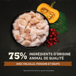 Acana-wild prairie au poulet chat (1)