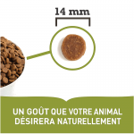 Acana-graslands à l'agneau chat (1)