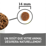 Acana-Light & Fit Croquettes Light (1)