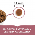 Acana-Agneau et Pomme (1)