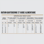 Croquettes pour Chiots de Toutes les Races
