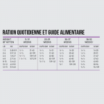 Orijen kitten pienso para gatitos