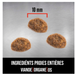 Orijen kitten pienso para gatitos