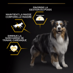 Purina Pro Plan-OptiWeight Adulte Light pour Chien Stérilisé (1)