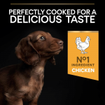Purina Pro Plan-OptiStart Small & Mini Puppy (1)