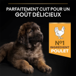 Puppy Large Robust