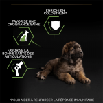Puppy Large Robust