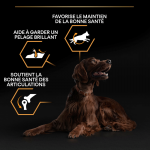 Purina Pro Plan-OptiHealth Adulte Athlétique Grandes Races (2)