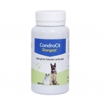 Stangest-Condrocit pour Chien et/ou Chat (1)