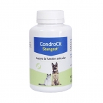 Stangest-Condrocit pour Chien et/ou Chat (1)