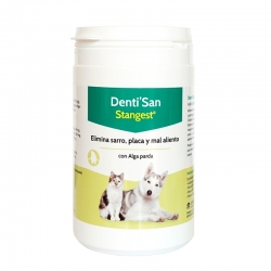 Stanvet-Denti'San pour Chien (1)