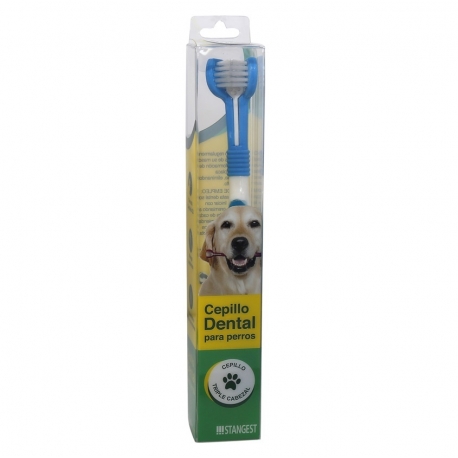 Stanvet-Brosse à Dents pour Chien (1)