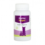Stangest-Enzivet pour Chien et Chat (1)