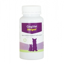 Stangest-Gingivet pour Chien et Chat (1)
