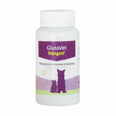 Stangest-Glutavet pour Chien et Chat (1)