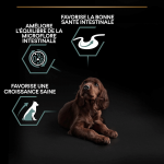 Purina Pro Plan-Opti Digest Adult Athletic Agneau (1)