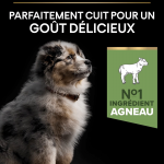 Opti Digest Puppy Moyen Agneau