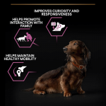 Purina Pro Plan-OptiAge Small and Mini Adult 9+ (1)
