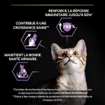 Purina Pro Plan-Croquettes pour Chat Junior (1)