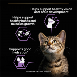 PRO PLAN Gato JUNIOR Pavo en Salsa 85g