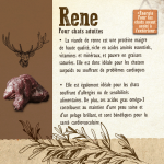Carnilove-Adult Reindeer Energy & Outdoor (1)