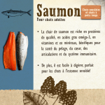 Carnilove-Adult Salmon Sensitive & Long Hair (1)