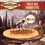 Carnilove-Adult Duck & Pheasant Hairball Control (1)