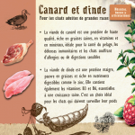 Carnilove-Adult Large Duck & Turkey Muscle & Bones & Joints (1)