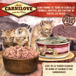 Carnilove-Kitten Saumon et Dinde Boîte (1)