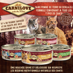 Carnilove-Dinde et Saumon Boîte (1)