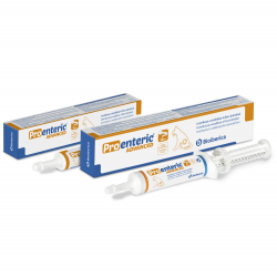 Antidiarrhéique Pro-Entérique (6)