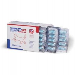 Chondroprotecteur Cosequin Chat (6)
