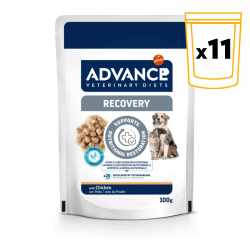 Advance Veterinary Diets Recovery Comida Húmeda para Perros y Gatos