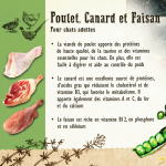 Carnilove Cat Adult sabor Pollo Pato